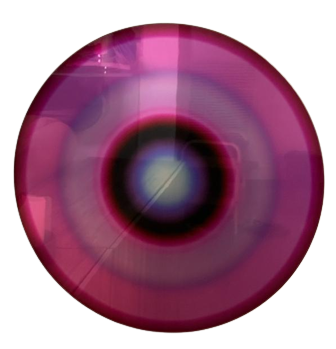 "Pink Disc of Life"